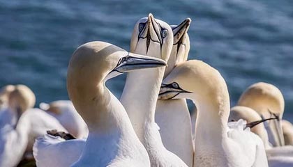 澳客足彩网站-KOK体育APP：让热爱随时在线，开启你的全场景体育之旅